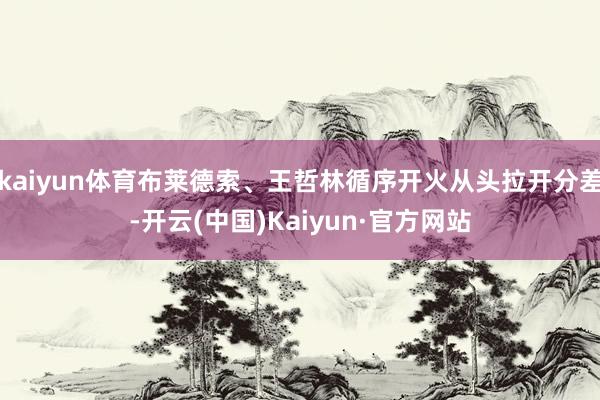 kaiyun体育布莱德索、王哲林循序开火从头拉开分差-开云(中国)Kaiyun·官方网站