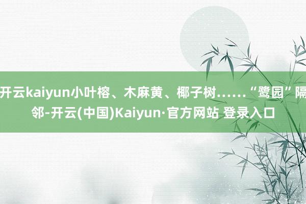 开云kaiyun小叶榕、木麻黄、椰子树……“鹭园”隔邻-开云