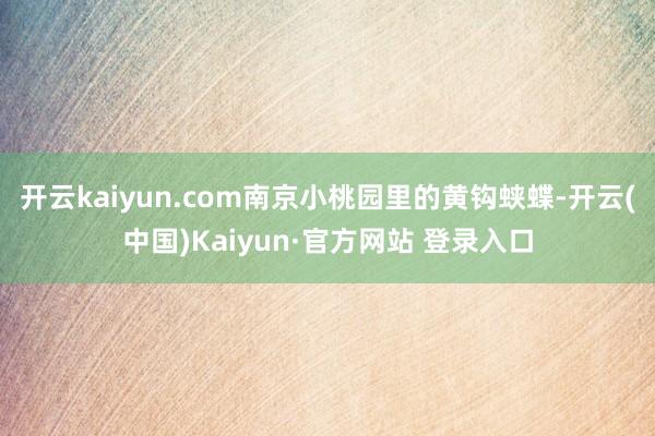 开云kaiyun.com南京小桃园里的黄钩蛱蝶-开云(中国)Kaiyun·官方网站 登录入口