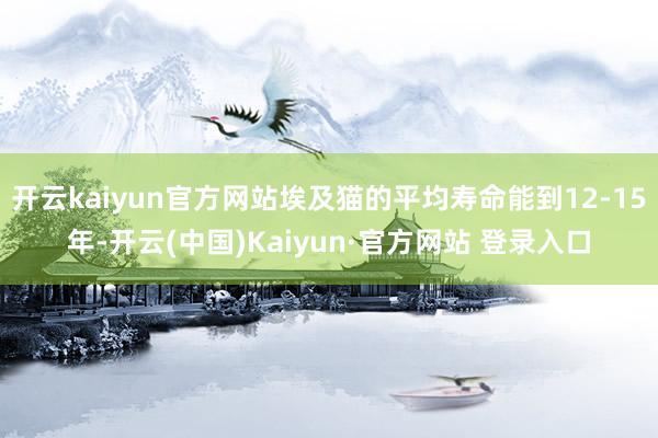 开云kaiyun官方网站埃及猫的平均寿命能到12-15年-开云(中国)Kaiyun·官方网站 登录入口