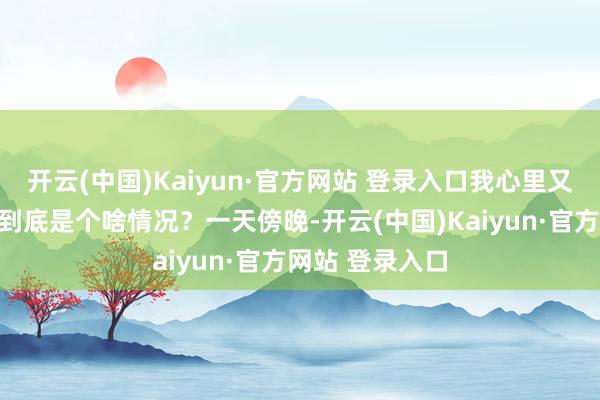 开云(中国)Kaiyun·官方网站 登录入口我心里又泛起好奇